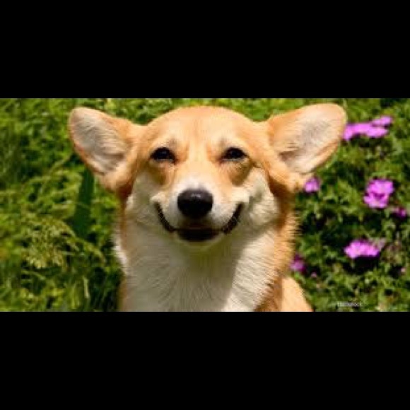 Meet your Posher, Don - Picture 1 of 1